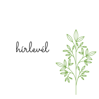 blogom másolata másolata(3)